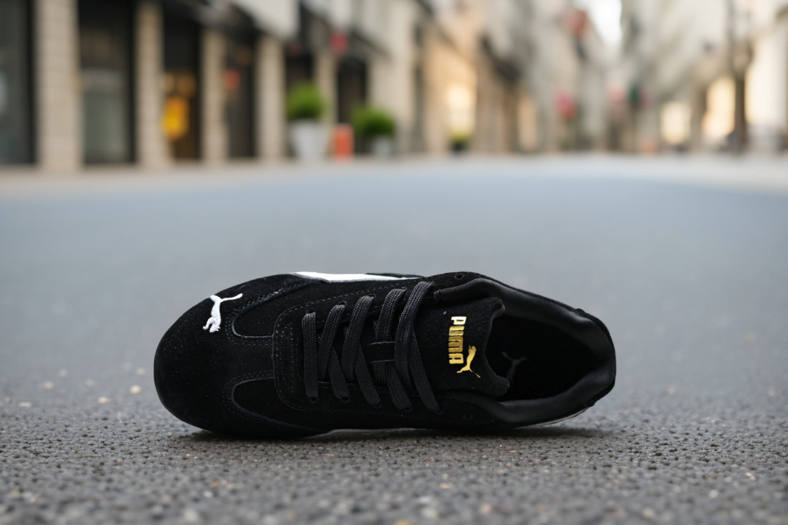 Puma Speedcat Year of the Horse
